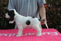 Patch